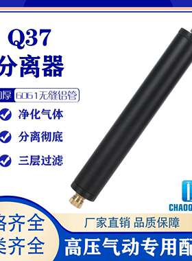 30mpa高压充气泵外置油水分离器s4500psi气泵空气过滤三层过滤Q37