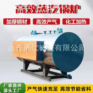 蒸汽锅炉柴煤两用家用蒸汽取暖炉立式燃油生物质蒸汽锅炉