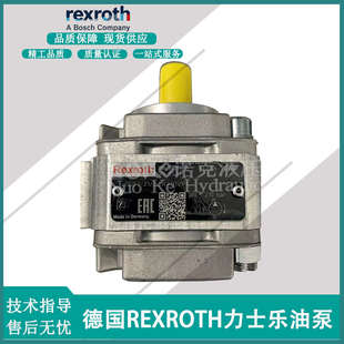 力士乐内啮合齿轮泵 德国Rexroth PGF1 R900932135 2RA01VP1