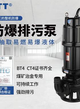WQB防爆污水泵大流量BT4防爆潜水泵高扬程CT4防爆排污泵