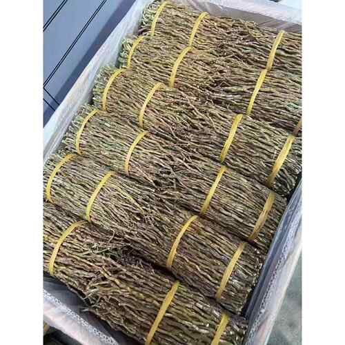 云南铁皮石斛250 g