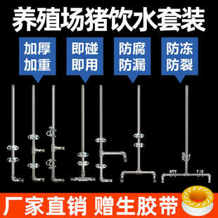 猪用自动饮水器套装不锈钢小猪母猪产床配件猪场养殖用品养猪设备
