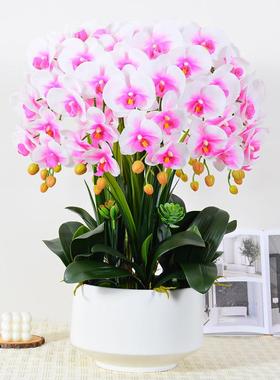 手感OFY蝴蝶兰花假花仿真茶花客厅摆花设高端餐桌摆几花艺摆件装