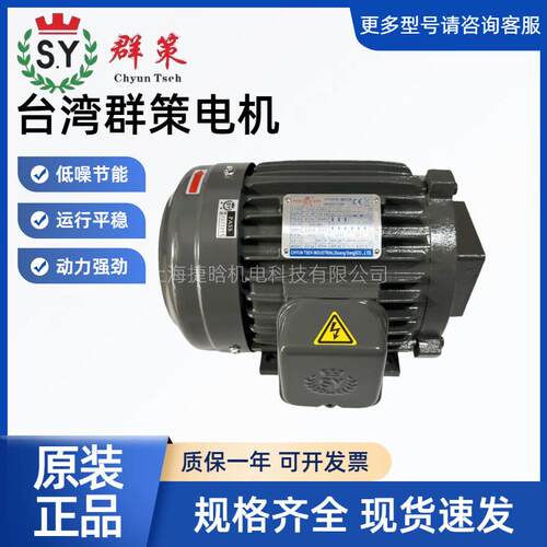 S.Y群策液压电机C02-43B02HP-4TK31.5KW卧式内轴孔油泵电机