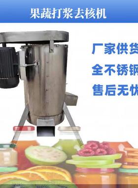 商用不锈钢水果脱核机 大型桃子扁桃果肉果核分离机 多用打浆去核