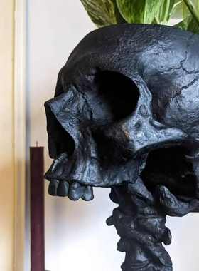 爆款 Skull Planter & Spine Stand Sets 骷髅花盆和脊椎