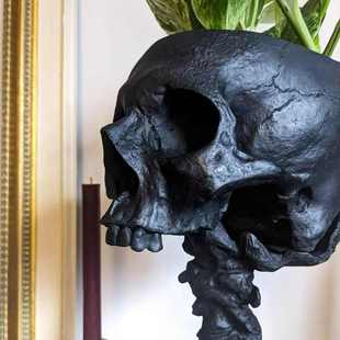爆款 Skull Planter & Spine Stand Sets 骷髅花盆和脊椎