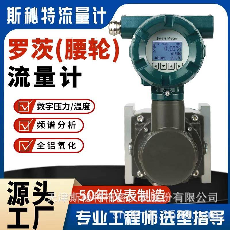 气体腰轮流量计计量/结算天然气/氮气/二氧化碳