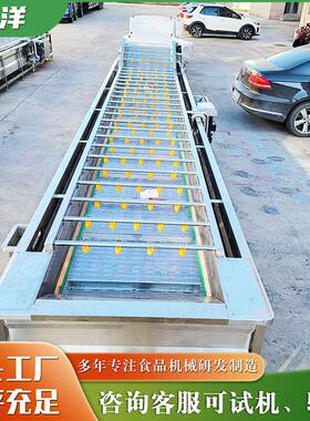 全自动果蔬清洗机器百香果清洗机桃子气泡喷淋式清洗设备洗菜机