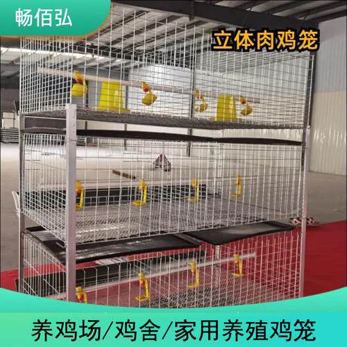 立体肉鸡鸡笼H型框架笼鸡舍养鸡场用镀锌工艺层叠式可供外贸