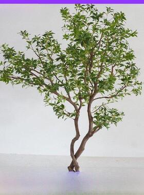 模拟马醉木大型室内模拟绿色植物窗口景观马醉木假树可达奢华简单