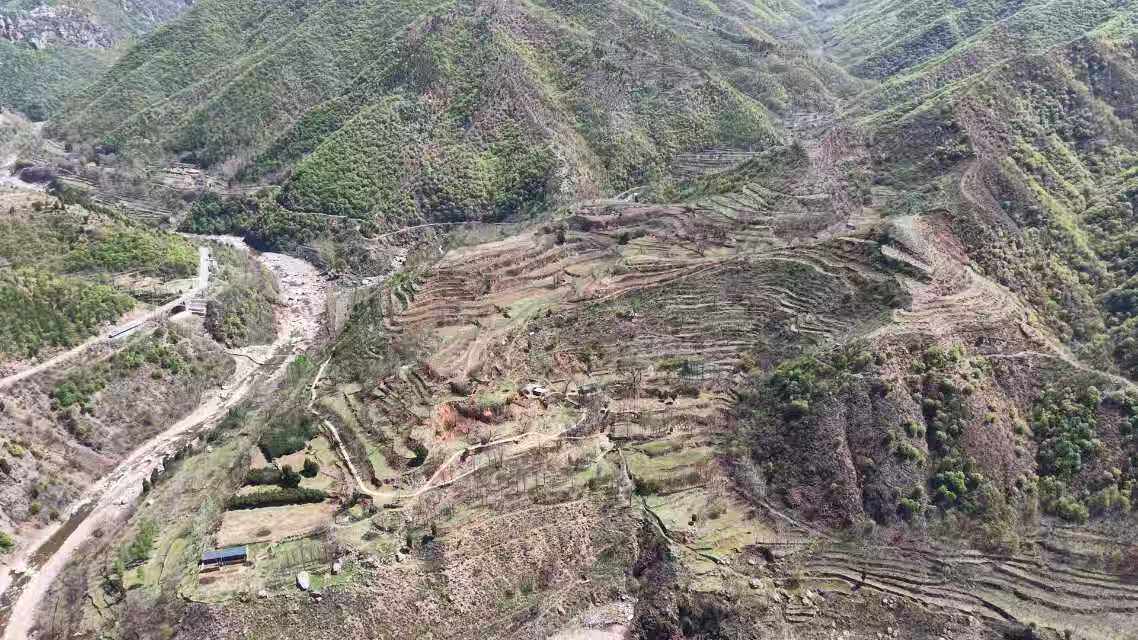 再次拍卖（破）山西历山旅游投资有限公司名下的林木资产和林地资产