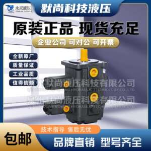仙居永灵YLC叶片泵VP22-30-30-70/55/35变量液压泵 VP22-40-40-35