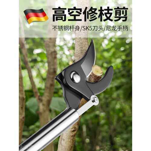 德国精工高空剪树枝专用剪刀修枝剪园艺园林果树修花大剪子长杆柄