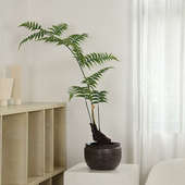 大型仿真绿植金毛狗蕨猴头蕨类植物盘栽客厅落地橱窗造景装 饰摆件