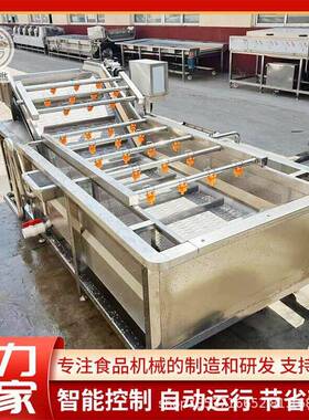 全自动果蔬气泡清洗机连续式圣女果清洗设备商用蔬菜清洗流水线