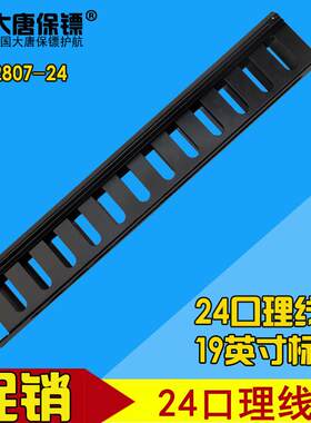 大唐保镖1U机柜24口理线器网络19寸配线理线架