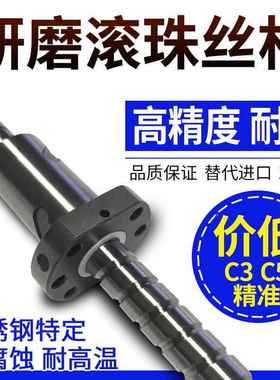 DF来图U2005微型研磨滚珠丝杆 搬运丝2004/200车引牵车滚珠杠