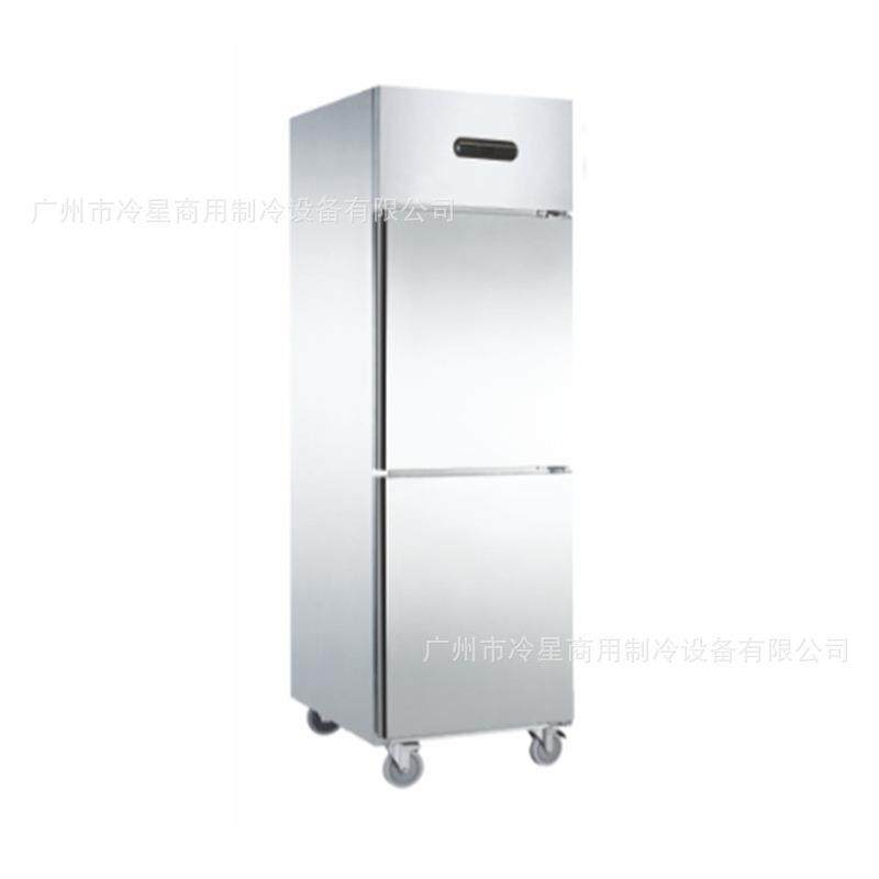 双开门冰柜冷藏柜冷冻柜双温厨房立式保鲜大容量双门冰箱商用