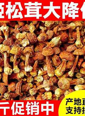 姬松茸干货500g云南特产巴西菇松茸野生菌新鲜煲汤材料真无硫本色
