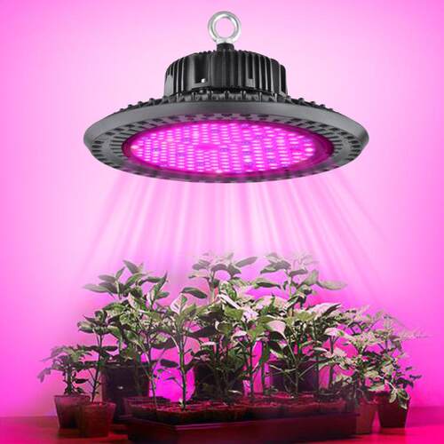 300W植物灯UFO植物补光灯大棚蔬菜生长灯LED育苖飞碟灯