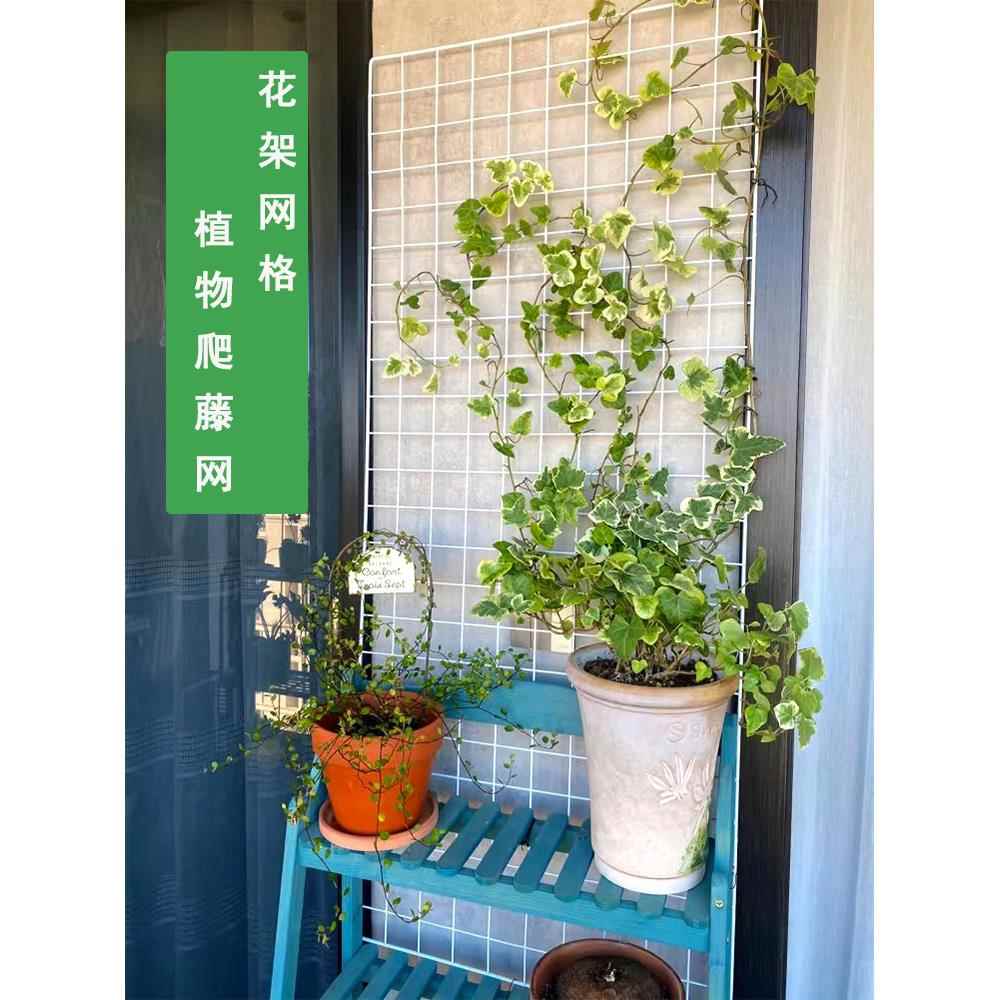网格花架植物攀爬网户外丝网展示架玫瑰植物壁挂网攀爬展示架