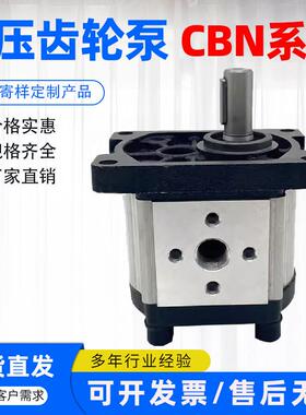 齿轮泵 液压油泵CBN-F310 F314 F306 F320 F325 F316无锡新立液压