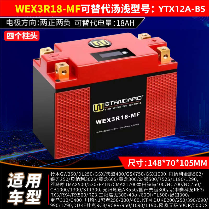 猛狮摩托车电瓶12v蓄电池免维护锂宝马BMW/G310R/G310GS/C400X/GT