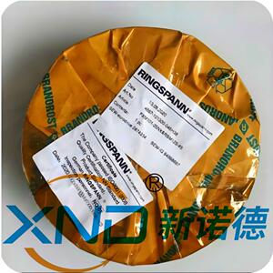 -FXM140-50SX/H65逆止/德国弗兰德减速机专用逆止器