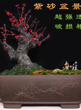 宜兴紫砂花盆精品盆长方马槽老桩丛林盆花卉绿植榕树室内新款促销