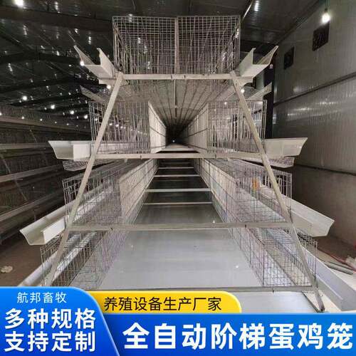 全自动阶梯蛋鸡笼厂家镀锌A字型阶梯式组装笼一体化养鸡设备定制