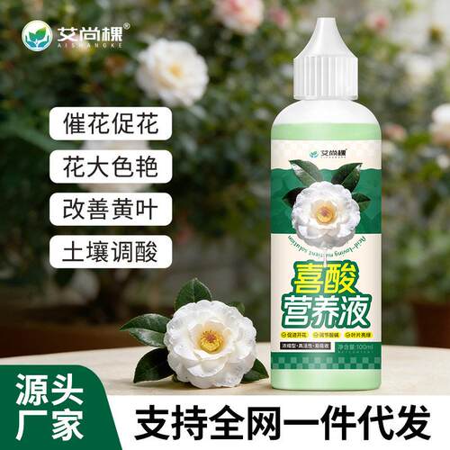 艾尚棵花草植物喜酸营养液绿植小盆栽三角梅栀子花花养花专用