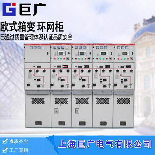 10v压环网柜DFW-12-T630电缆分支箱带开关一进一二三四出
