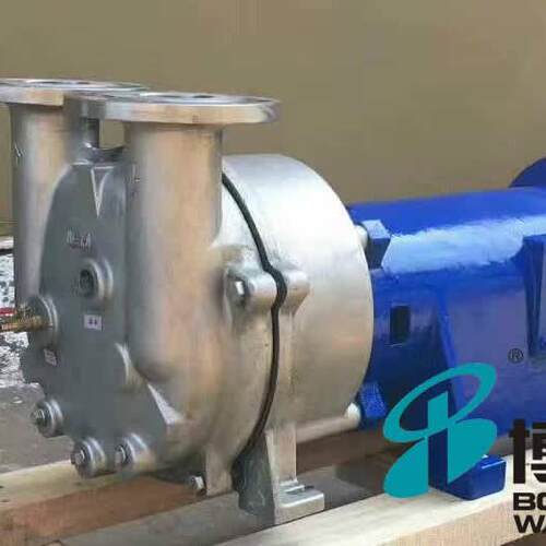 牌2BV-5161不锈钢耐腐蚀卧式水环式真空泵不锈钢无堵塞真空泵