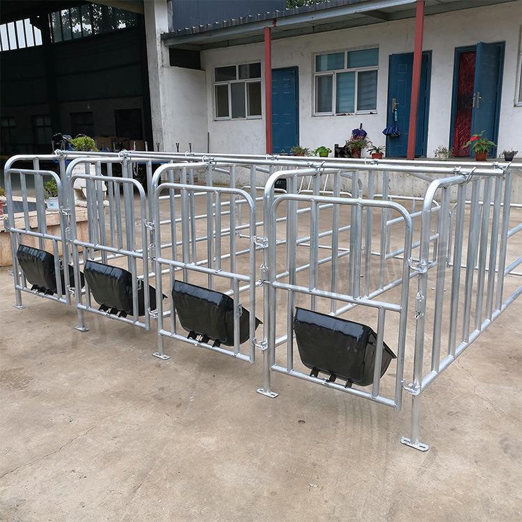 厂家定 制加厚猪用定位栏带复合漏粪板猪用限位栏 养猪设备