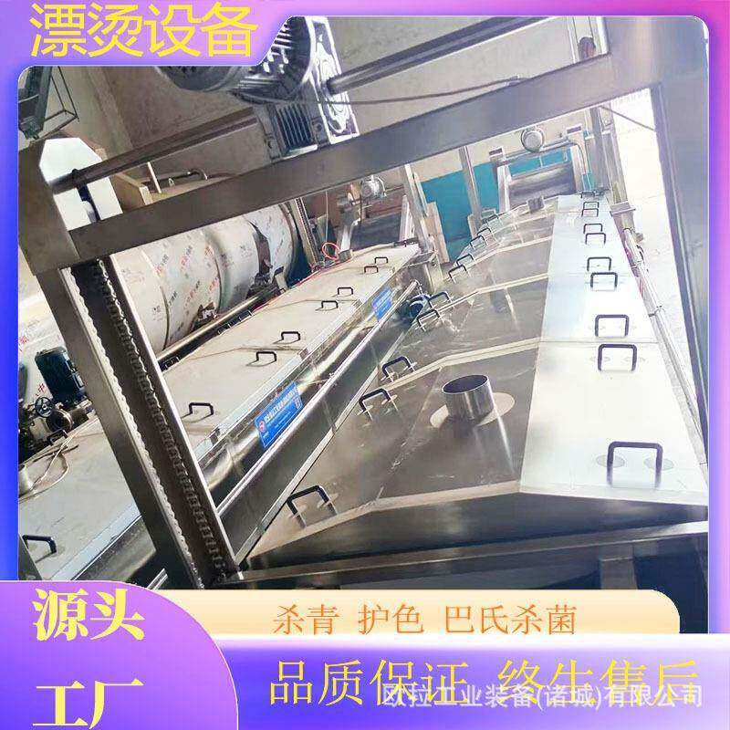 海鲜菌菇蒸煮漂烫线 花菜漂烫杀青机 包装袋巴氏杀菌生产设备