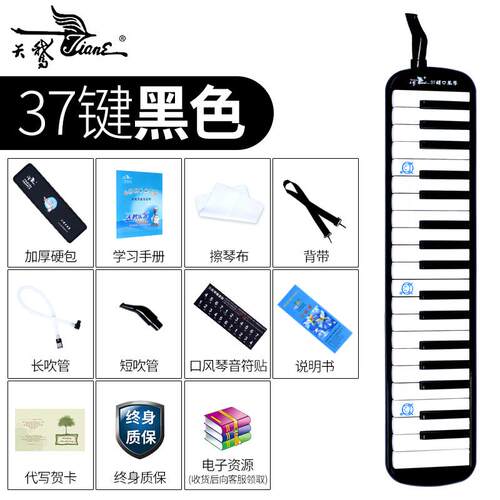 高档天鹅口琴37童全乐理黑色儿学生初风学学校老师键推荐教学专业