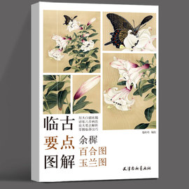 临古要点图解（余穉百合图玉兰图） 郑玲玲编绘 国画玉兰花临摹技法原大白描底稿工笔百合花卉画法步骤详解天津杨柳青画社