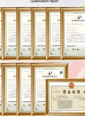弘力 生物质水汽炉 商用200kg大型蒸汽发生器 全自动蒸气清洗锅炉