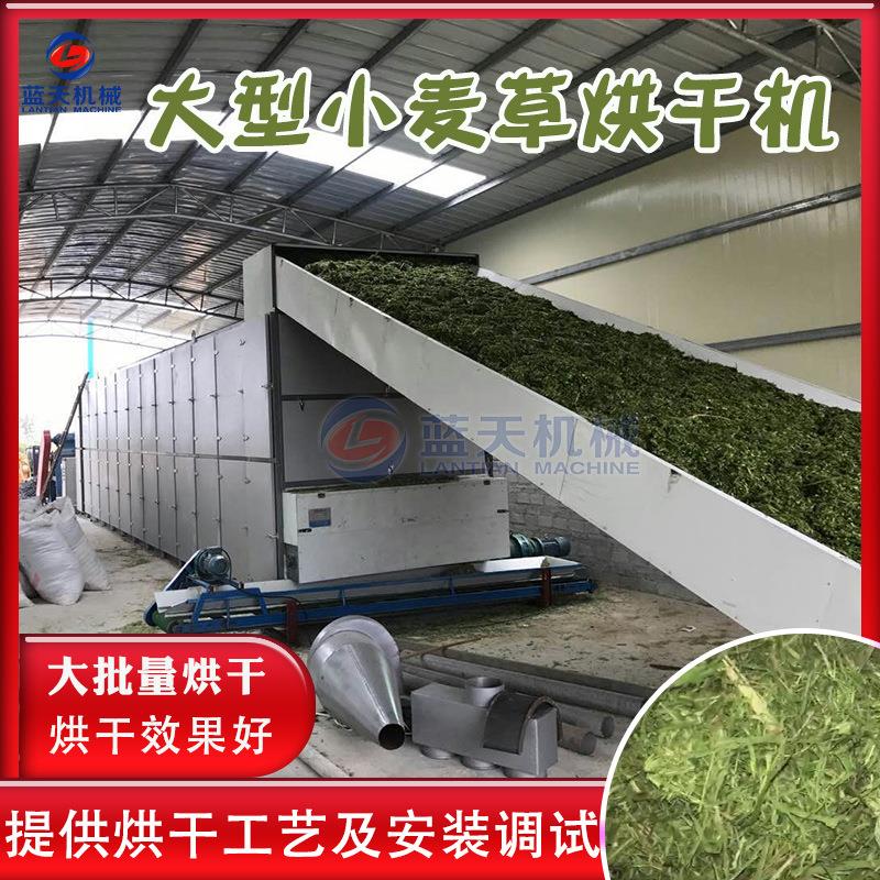 连续式小麦草烘干机全自动牧草青储干燥设备偃麦草巫草除湿设备