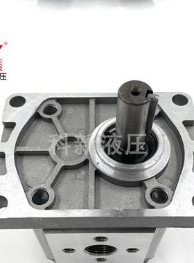 齿轮泵CBN-F/E304/306/308/310/312/314/316/318/320/325高压液压