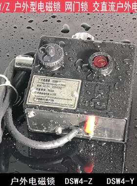 DSW4-Z(Y)户外电磁锁DSW1-II SW4-Y/Z J-D-Y-D 户外电磁锁 接地电