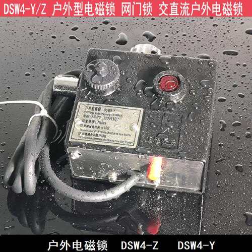 DSW4-Z(Y)户外电磁锁DSW1-II SW4-Y/Z J-D-Y-D 户外电磁锁 接地电