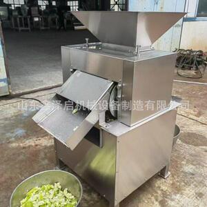 大型对辊鲜榨果汁机柚子柠檬百香果压榨机工业螺旋榨汁机