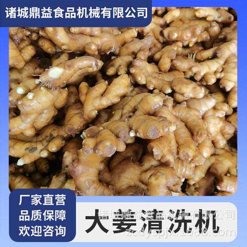 果蔬气泡清洗机  全自动大姜清洗机 大姜清洗机 清洗机设备
