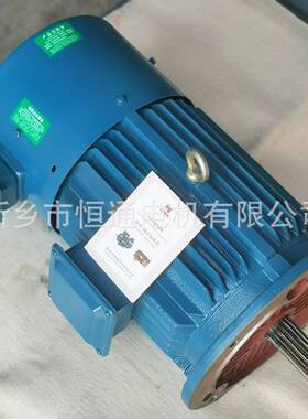 Y132-6ELong-term loced-rotor3-phase Torque Motor Y132-8E
