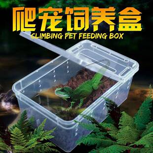 【官方旗舰店】蚕宝宝饲养箱饲养盒双向开合手提盒子开孔通风爬虫