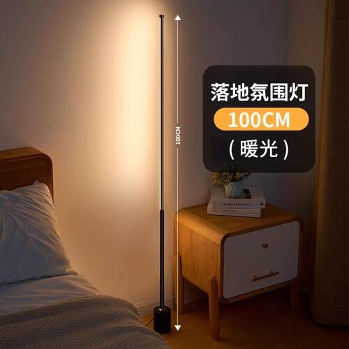 高档装睡饰落地灯卧室床头眠阅读氛围感房立高间台灯客厅沙发旁站