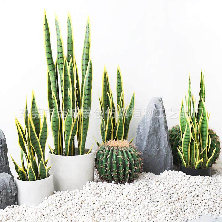 现货直发仿真金边虎皮兰蝴蝶兰盆栽假绿植装饰热带沙漠仿生植室内