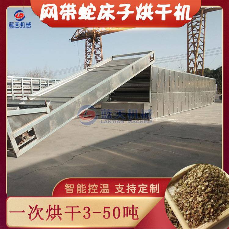 网带蛇床子烘干设备全自动双肾子蛇栗野茴香干燥机蛇床仁烘干机